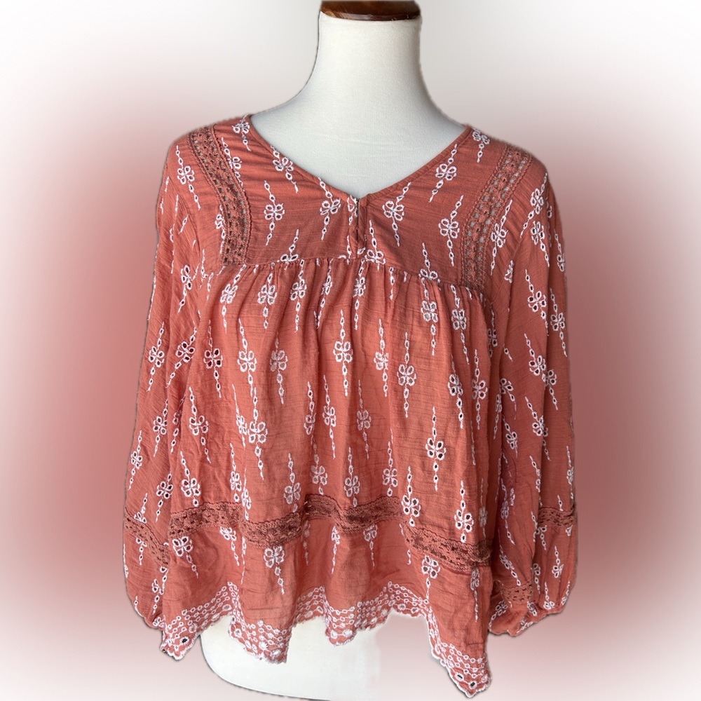 American Eagle Outfitters Terracotta Embroidered Blouse